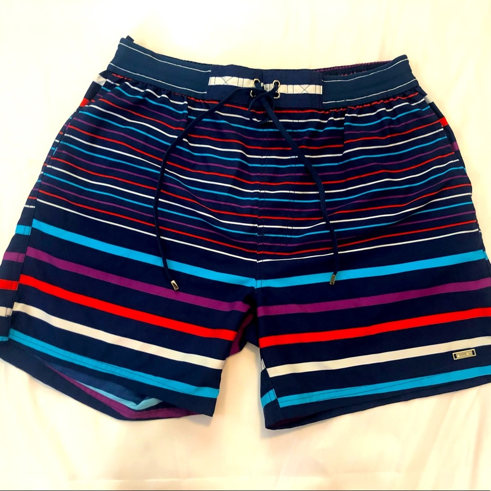2xist stripped swim shorts